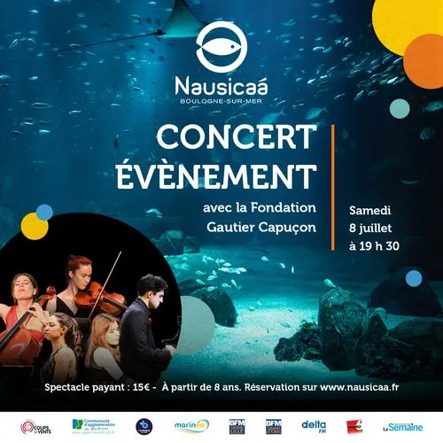 gautier capuçon concert poster
